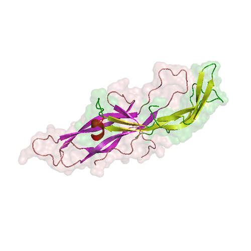 Human chorionic gonadotropin